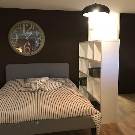 Large Studio Near Epfl And Lausanne City Center Ecublens  Екстериор снимка
