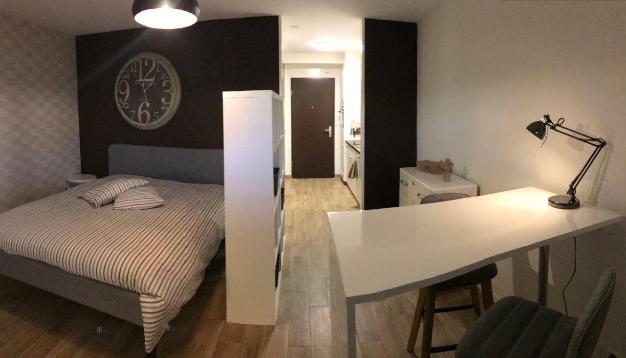Large Studio Near Epfl And Lausanne City Center Ecublens  Екстериор снимка