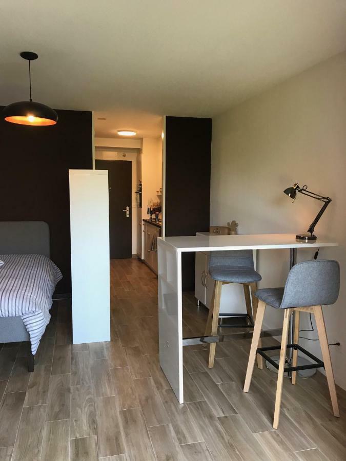 Large Studio Near Epfl And Lausanne City Center Ecublens  Екстериор снимка