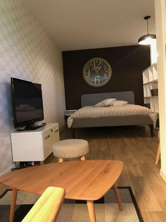 Large Studio Near Epfl And Lausanne City Center Ecublens  Екстериор снимка